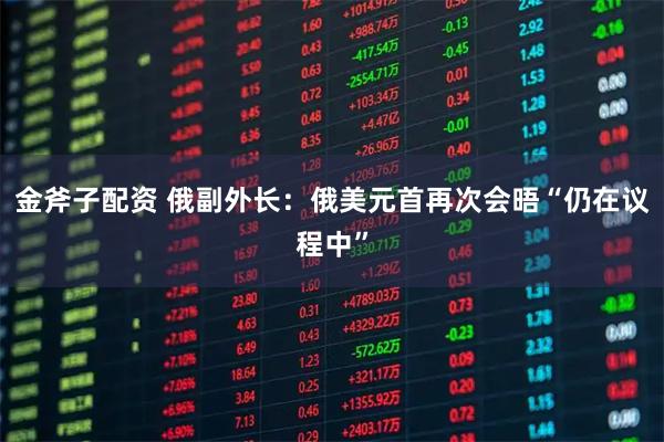 金斧子配资 俄副外长：俄美元首再次会晤“仍在议程中”