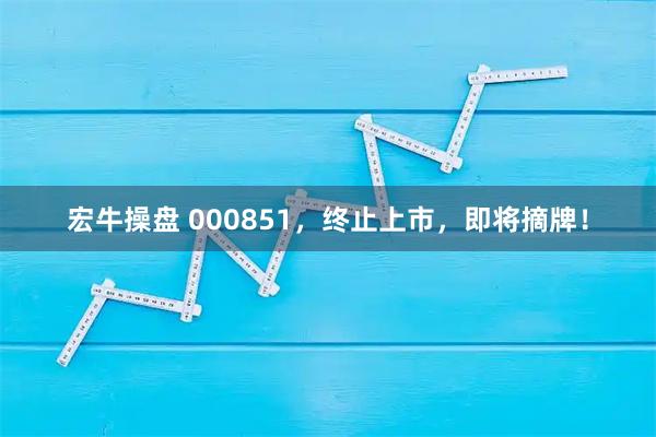 宏牛操盘 000851，终止上市，即将摘牌！