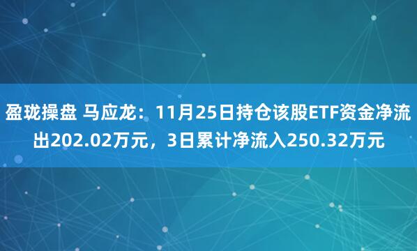 盈珑操盘 马应龙：11月25日持仓该股ETF资金净流出202.02万元，3日累计净流入250.32万元