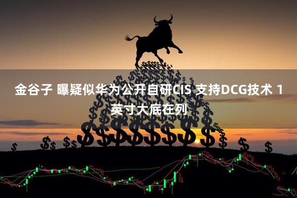 金谷子 曝疑似华为公开自研CIS 支持DCG技术 1英寸大底在列